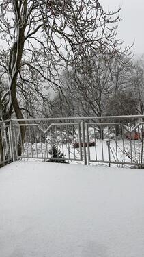 Foto - 11 Zimmer Villa zum Kaufen in Waldfischbach-Burgalben