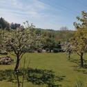 Foto - Einfamilienhaus in Tiefenbach