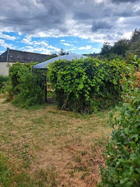 Foto - Grundst&uuml;ck in Chemnitz zur Miete
