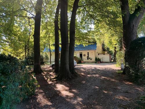 Foto - 72 m² Wohnung in idyllisch, ländlich-ruhiger Lage, 1. OG, 27404