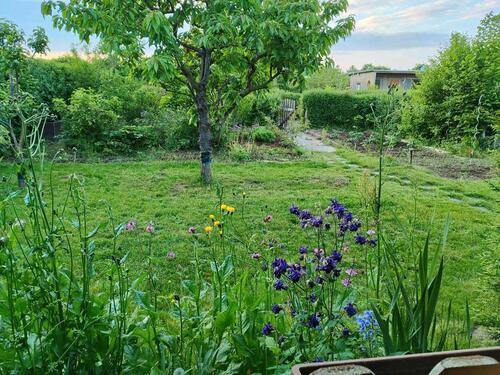 Foto - Kleingarten in Burghausen, Leipzig