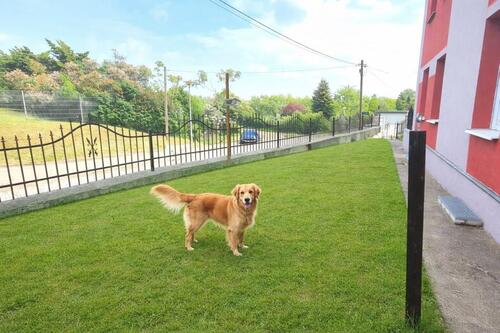 Foto - Direkt am 'Salbker See'- mit Garten und Hund