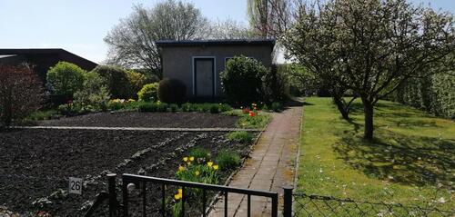 Foto - Pachtgarten in Holleben massive Steinlaube Garten