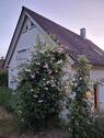 Foto - Einfamilienhaus in Vaihingen an der Enz zum Kaufen