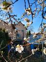 Foto - Einfamilienhaus in Seeheim-Jugenheim