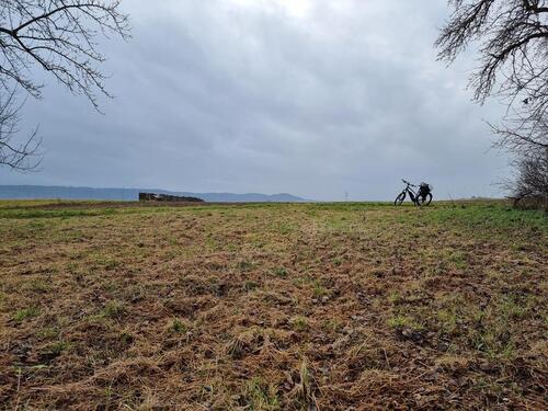 Foto - 3.5 Zimmer Erdgeschoßwohnung in Rottenburg am Neckar