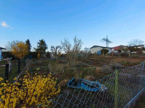 Foto - Grundst&uuml;ck zur Miete in Wernigerode