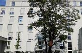 Foto - TOP MODERNES VOLL MÖBLIERTES 1 ZIMMER APARTMENT