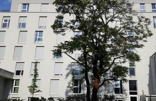 Foto - TOP MODERNES VOLL MÖBLIERTES 1 ZIMMER APARTMENT