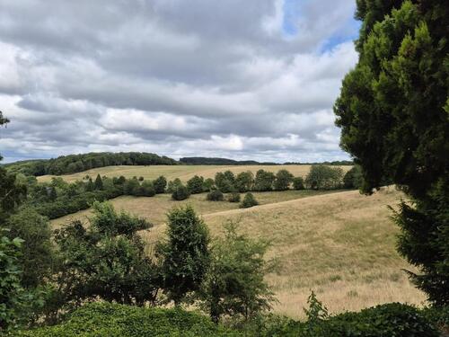 Foto - Helle 3-Zimmer-Wohnung mit großer Terrasse, Garten & Ausblick