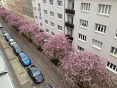 Foto - 2 Zimmer Etagenwohnung zur Miete in Halle (Saale)