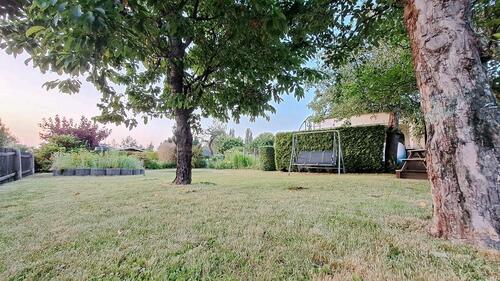 Foto - schöner gemütlicher Kleingarten abzugeben