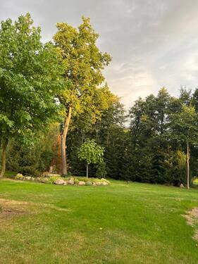 Foto - andere zur Miete in Walsrode