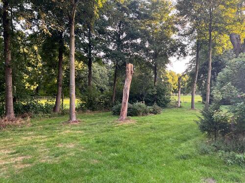 Foto - andere in Walsrode