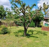 Kleingarten abzugeben - 4.500,00 EUR Kaltmiete, ca.  0,00 m² in Eisenach (PLZ: 99817)