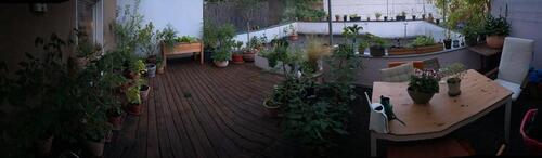 Foto - Zwischenmiete August 2026-Dezember 2026