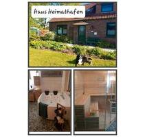 Ferienhaus Mai 26, Nordsee, Strand, Sauna, Whirlpool, Kamin,Hund - Bielefeld Senne