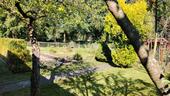 Foto - Grundstück in Meiningen