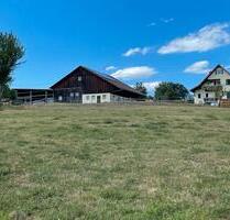 Pferdeimmobilie Haus Reithalle Reitstall Pferdehof Pferdestall - Altensteig