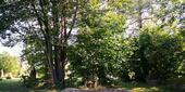 Foto - Einfamilienhaus in Spiegelau zum Kaufen