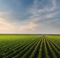 Landwirtschaftliche Fläche - RainStraubing!