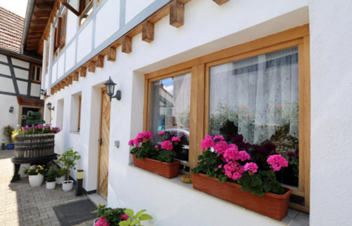 Foto - Gemütliches 1-Zimmer-Apartment im Herzen von Engelstadt