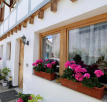 Gemütliches 1-Zimmer-Apartment im Herzen von Engelstadt - Mainz Lerchenberg