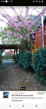 Foto - Haus zu verkaufen (KEINE MAKLER!)