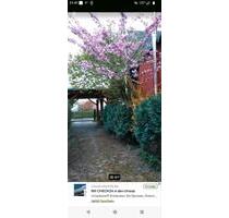 Haus zu verkaufen (KEINE MAKLER!) - Bad Essen