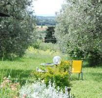 idyllisches Ferienhaus Toskana im Olivenhain, Meernähe - Sulingen
