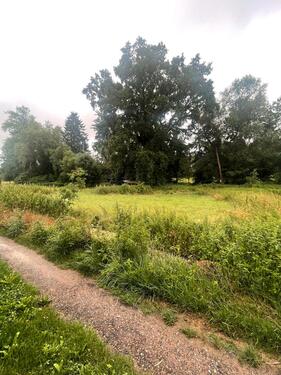Foto - Grundstück in Gieboldehausen