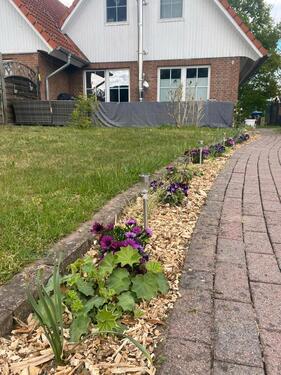 Foto - 4 Zimmer Einfamilienhaus in Boizenburg/Elbe