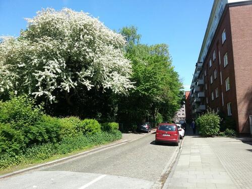 Foto - Etagenwohnung in Hamburg