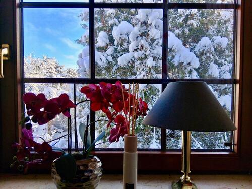 Foto - 5 Zimmer Einfamilienhaus zum Kaufen in Hamburg