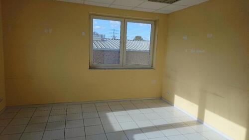 Foto - andere in Brühl