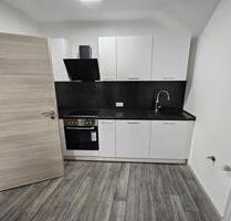 Modern Renovierte 3 Zimmer Wohnung mit Küche| Loggia| 78m2 - Dietenhofen