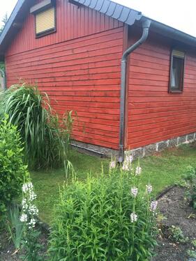 Foto - Kleingarten Schrebergarten Pachtgarten SOFORT abzugeben!