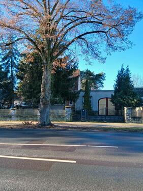 Foto - Einfamilienhaus in Wolmirstedt zum Kaufen