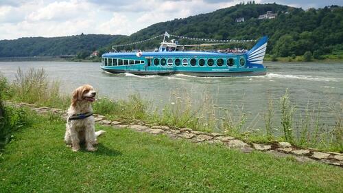 Foto - 28.02. - 07.03. LAST-Minute, Fewo Bad Honnef, 2 Pers. Woche € 525