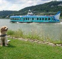 28.02. - 07.03. LAST-Minute, Fewo Bad Honnef, 2 Pers. Woche € 525