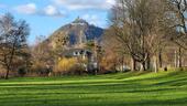 Foto - 21.2 .- 28.2. LAST-Minute, Fewo Bad Honnef, 1 - 7 P. Wo. ab € 600