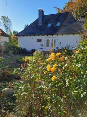 Foto - Einfamilienhaus zum Kaufen in Neuberend