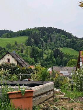 Foto - Zwischenmiete Mai Juni Oberried