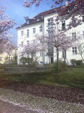 Foto - Kleines Juwel im WelfenpalaisWgt–2-Zi.Loggia-Whg.Neue Heizung!