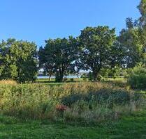 Idyllisches Haus mit ca 1 Hektar Grundstück, Stall+ 1 Hektar Wald - Eldetal