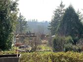 Foto - Einfamilienhaus in Erfurt