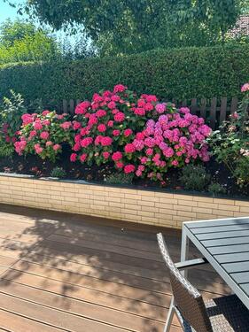 Foto - 4 Zimmer Etagenwohnung in Salzgitter