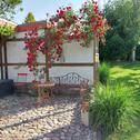 Foto - 