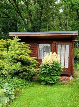 Foto - Grundstück in Hohenstein-Ernstthal zur Miete