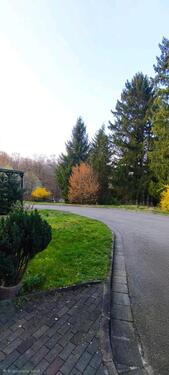 Foto - 4 Zimmer Reihenhaus in Saarbrücken